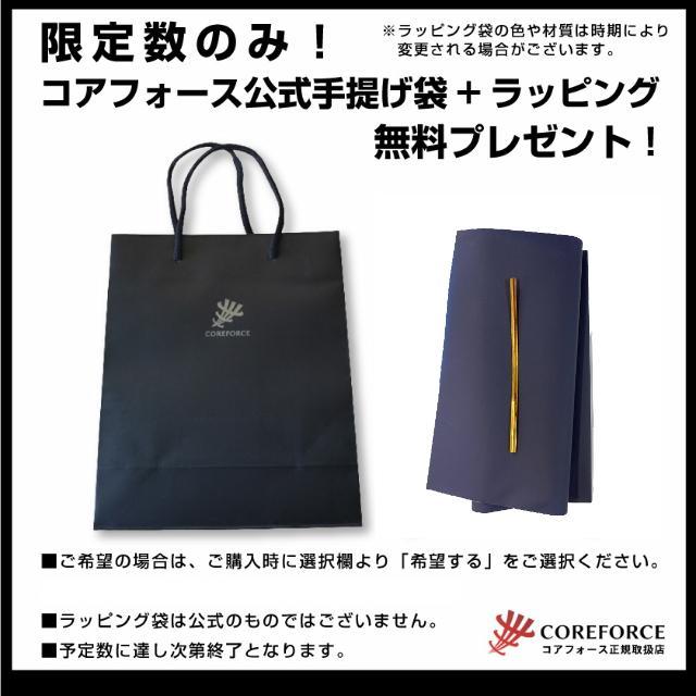 コアフォースループ シャンパンゴールド SUS CFL50 50cm コアフォース COREFORCE ネックレス ゴルフ用品 スイング 飛距離 ブレスレット スポーツの画像