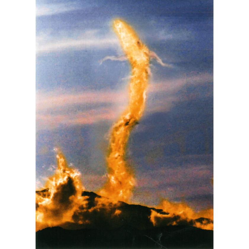 限定品 秋元隆良 奇跡の写真 金龍 2L版 開運 幸運 写真 開運アート