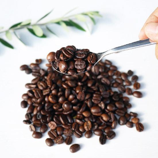 ベトナムコーヒー コーヒー 珈琲 コーヒー豆 HIGHLANDS COFFEE（ハイランズコーヒー） エスプレッソ・フルシティーロースト｜hlc23｜02