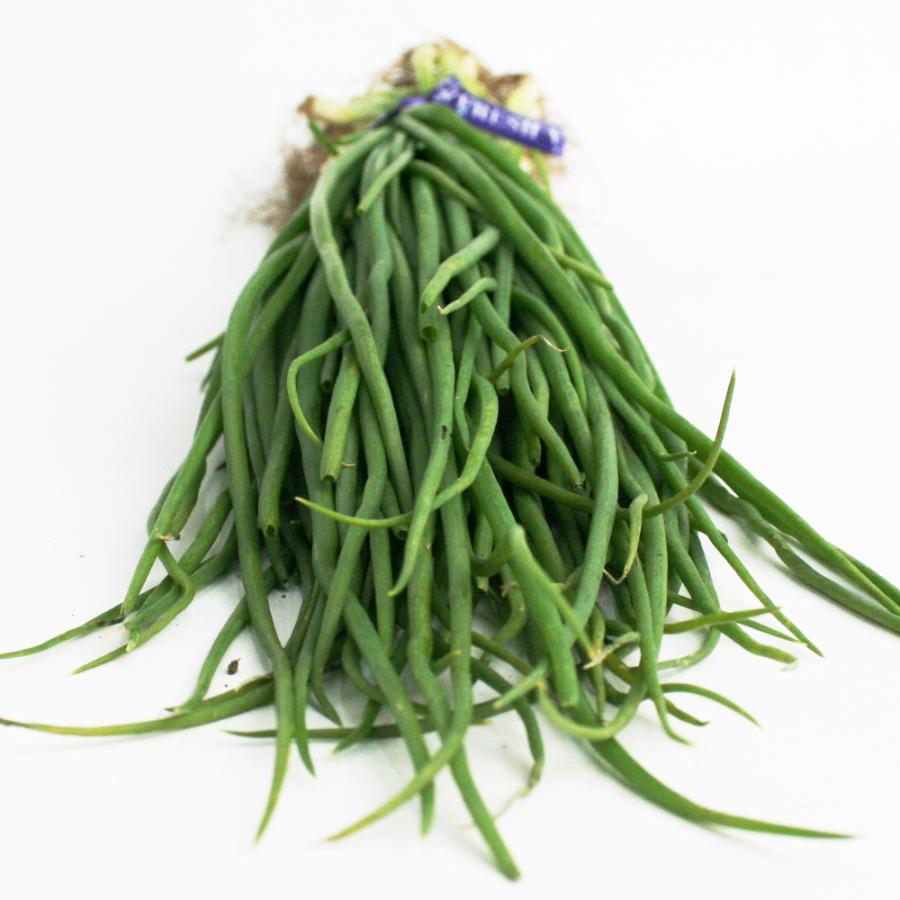 タマネギ O・K黄 中生 野菜苗 50本 岡山県産 たまねぎ苗 フラワー