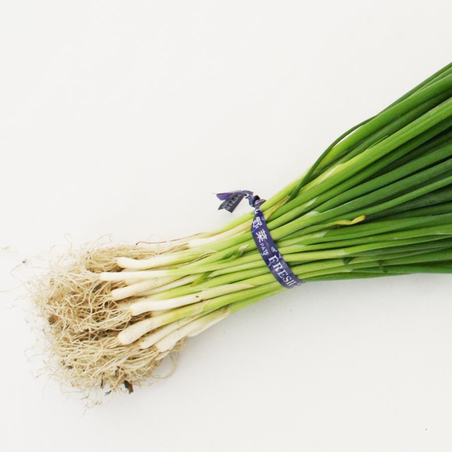 21人気の ねぎ苗 石倉根深太 一本ネギ 50本 抜き苗 岡山県産 フラワーブルームの苗 苗 ネギ ねぎ 葱 石倉ネギ 石倉一本 太ネギ 根深 家庭菜園 野菜 野菜苗 Aynaelda Com