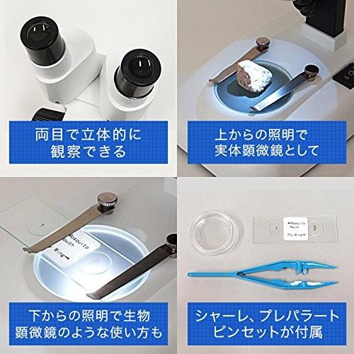 新品本物 新日本通商 双眼 実体顕微鏡 マイクロスコープ 生物顕微鏡 倍 40倍 学習用 40 Uht Hm Selections 通販 Yahoo ショッピング 保存版 Www Lequotidien Mr