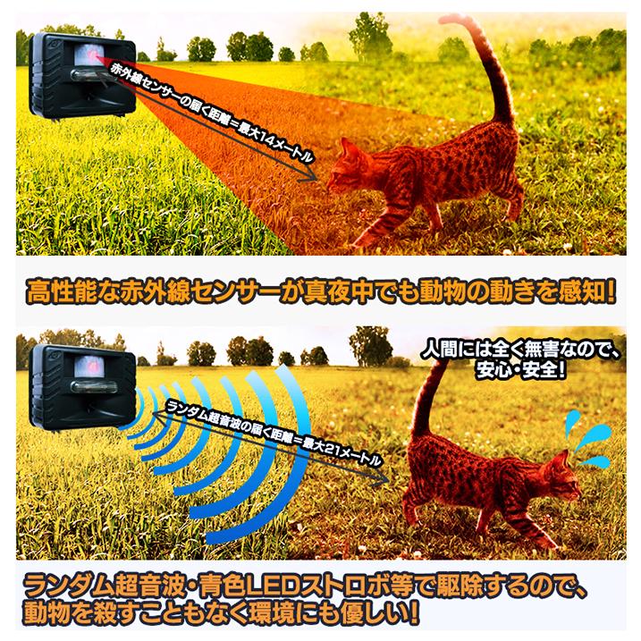 超音波などで害獣 害鳥駆除 乾電池でも使用可 防水 イタチ鳩カラス猪ハクビシン野良猫 鹿 鼠コウモリ対策 アニマルリペラー標準タイプST628 |  | 03