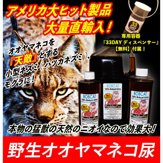 天然100％野生オオヤマネコ尿 ネズミ(天井裏 屋根裏 床下 屋外)モグラ害獣駆除 アニマルピーNo.3(獰猛な大型猫)ガロンボトル ガロンボトル 天然100％野生オオヤマネコ尿 ネズミ 床下 アニマルピーNo の 野生 で 野生ボブキャット 8リットル入り