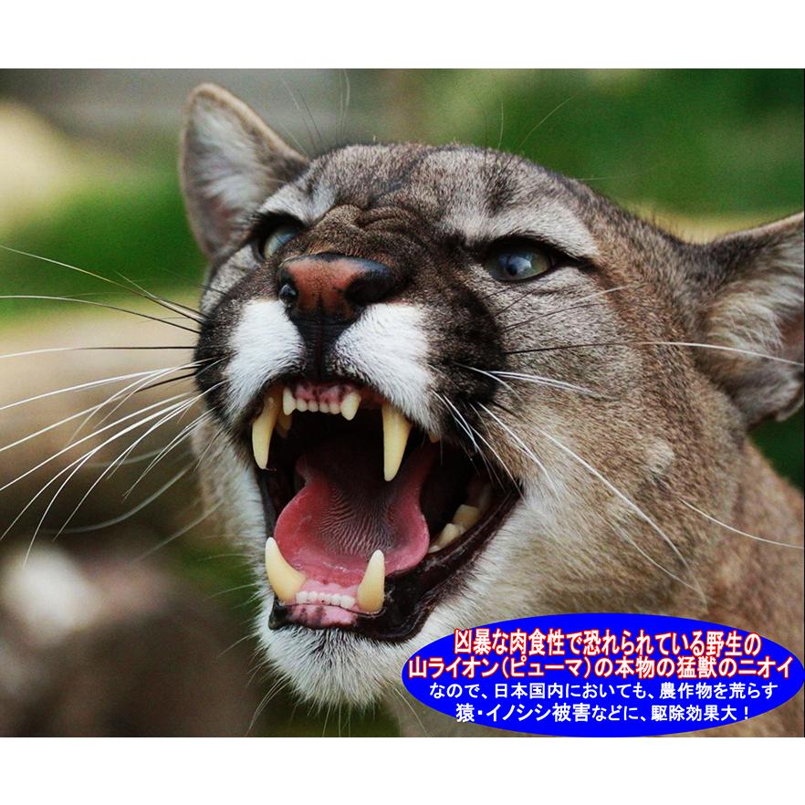 天然100％野生 山ライオン尿 イノシシ 猿 鹿など害獣 動物駆除 アニマルピーNo.5(天然 山ライオン尿)ガロンボトル(3.8リットル) |  | 03