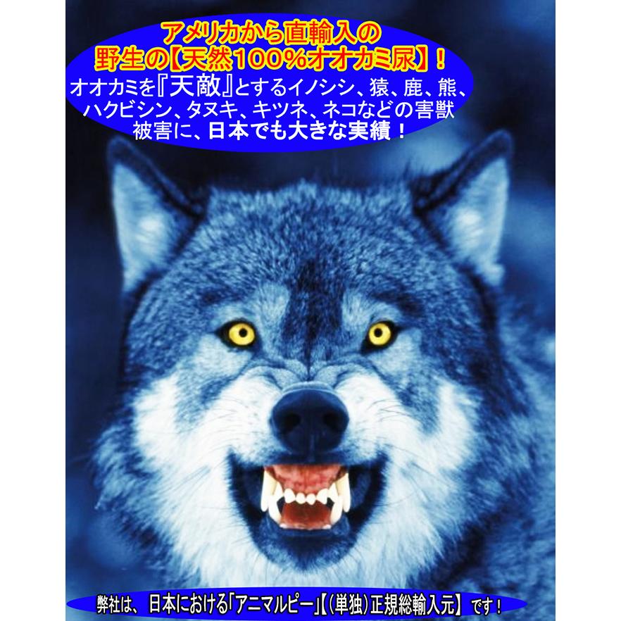 天然100%野生オオカミ(ウルフ)尿 害獣対策 熊イノシシ鹿ハクビシン猿タヌキ野良猫 ウルフピー同内容同品質品 アニマルピーNo.1 大ボトル(900g入り)の画像