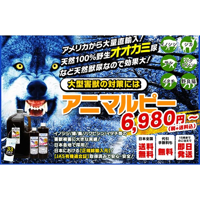 天然100%野生オオカミ(ウルフ)尿 害獣対策 熊イノシシ鹿ハクビシン猿 野良猫 ウルフピー同内容同品質品 アニマルピーNo.1 中ボトル(450g入り) |  | 01