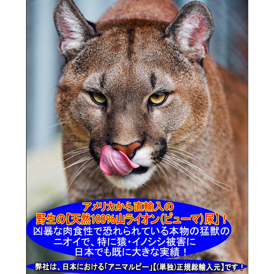 天然100％野生 山ライオン尿 イノシシ 猿 鹿 害獣 動物駆除 アニマルピーNo.5(天然 山ライオン尿)中ボトル |  | 02