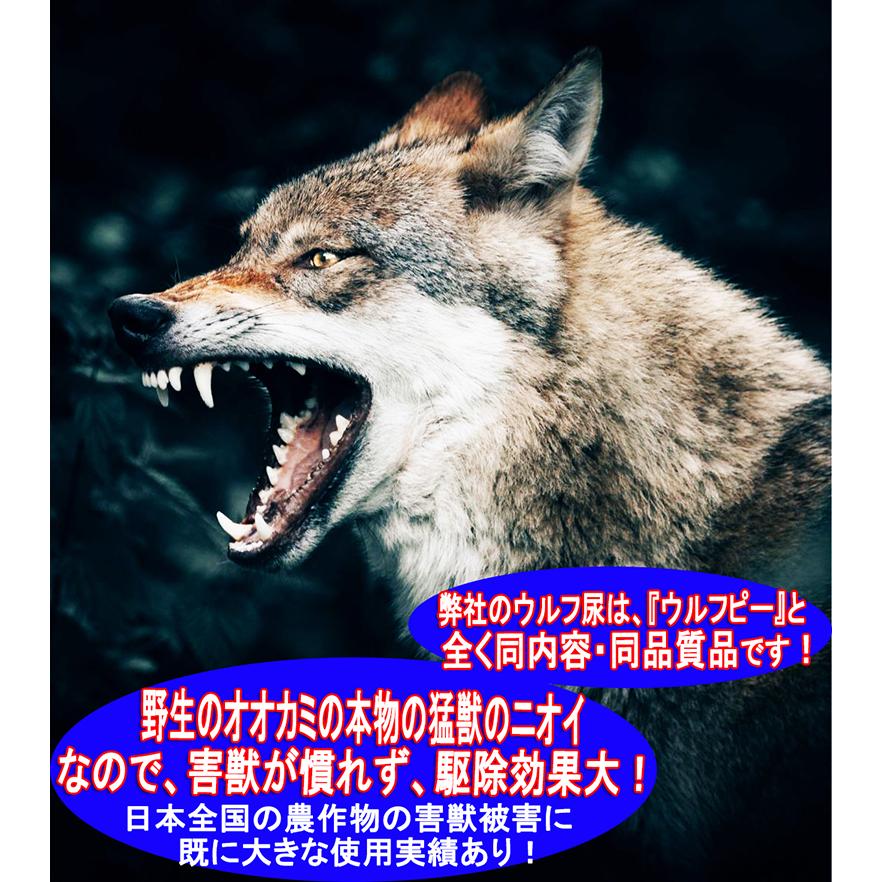 天然100%野生オオカミ尿 天然ウルフ尿 害獣対策 イノシシ猿ハクビシン鹿 野良猫 ウルフピー同内容同品質品 アニマルピーNo.1 小ボトル :s011:撃退マシーン・ドットコム - 通販 - Yahoo!ショッピング 天然100%野生オオカミ尿 天然ウルフ尿 害獣対策 イノシシ猿ハクビシン鹿 野良猫 ウルフピー同内容同品質品 アニマルピーNo.1 小ボトル :s011:撃退マシーン・ドットコム - 通販 - Yahoo!ショッピング