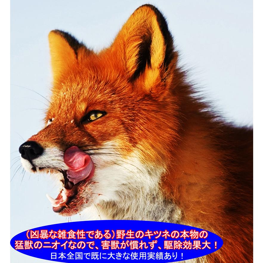 天然100％野生キツネ尿 イタチ ネズミ貂テン モグラ 害獣駆除 アニマルピーNo.2(天然フォックス尿)小ボトル |  | 03