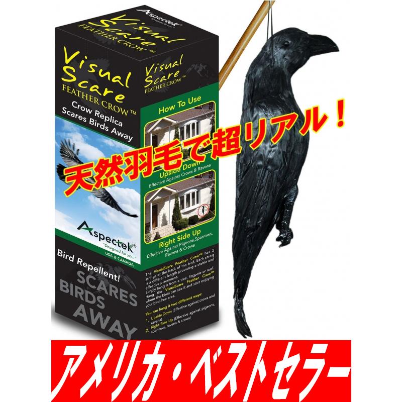 害鳥対策 天然羽毛 実物大 超リアル 簡単設置 カラス ハト ムクドリ