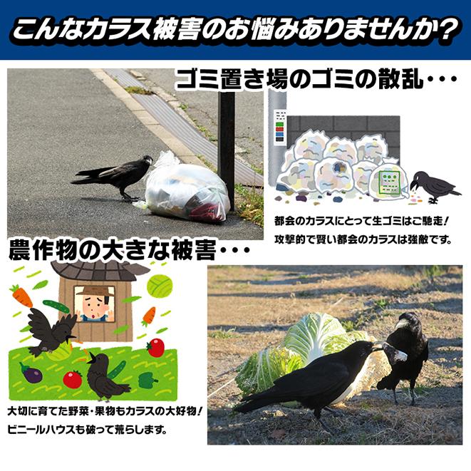 害鳥対策 天然羽毛 実物大 超リアル 簡単設置 カラス ハト ムクドリ