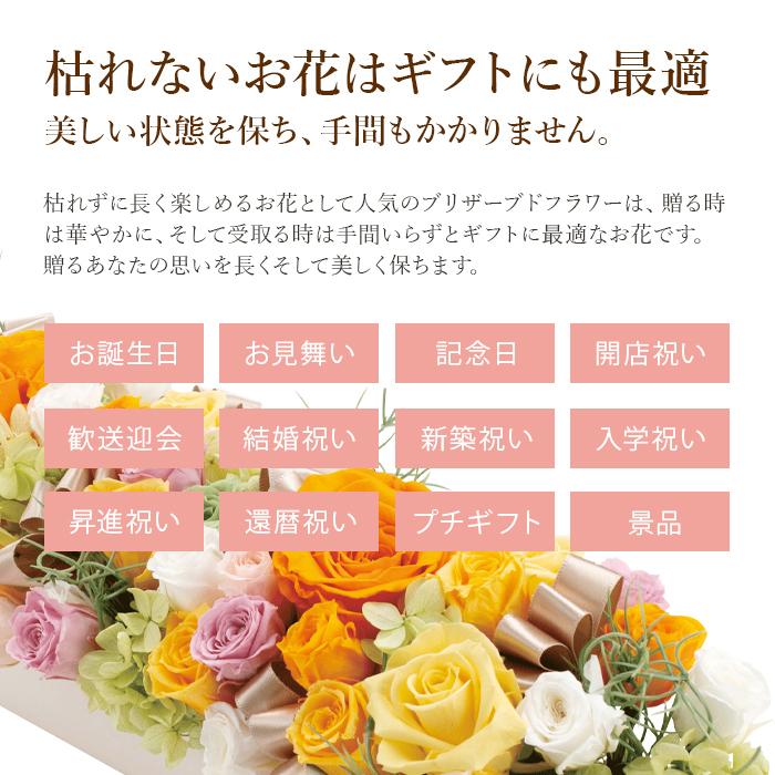 プリザーブドフラワー ローズM/おしゃれ ドライフラワー 花 女性 母 祖母 女友達 妻 お花 アレンジメント プレゼント ギフト 贈り物 【 敬老の日 祖父 祖母 】_3
