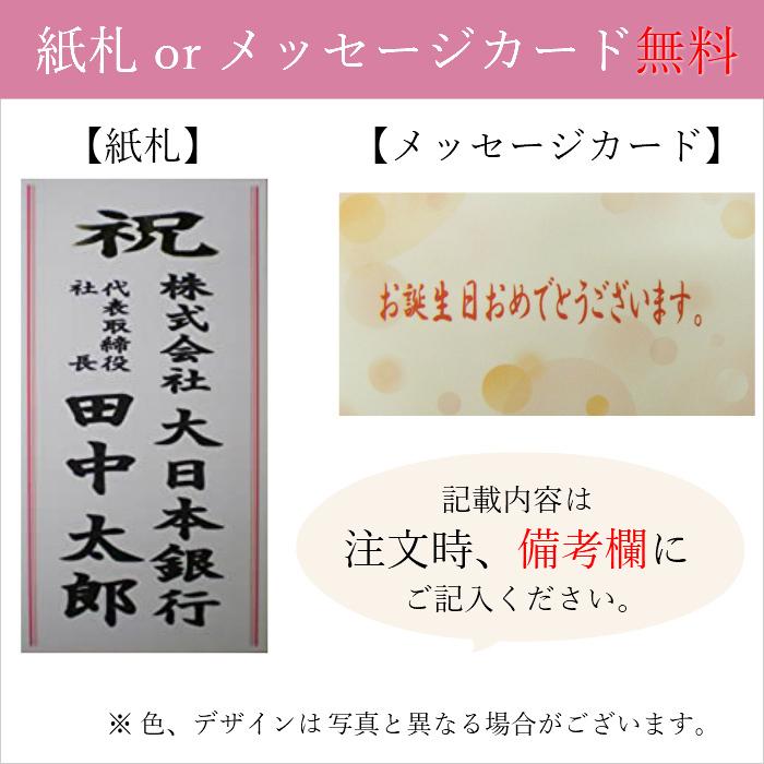 胡蝶蘭 大輪 5本立 50~55輪以上 3L 白 プレゼント ギフト 贈り物 【 敬老の日 祖父 祖母 】 |  | 06