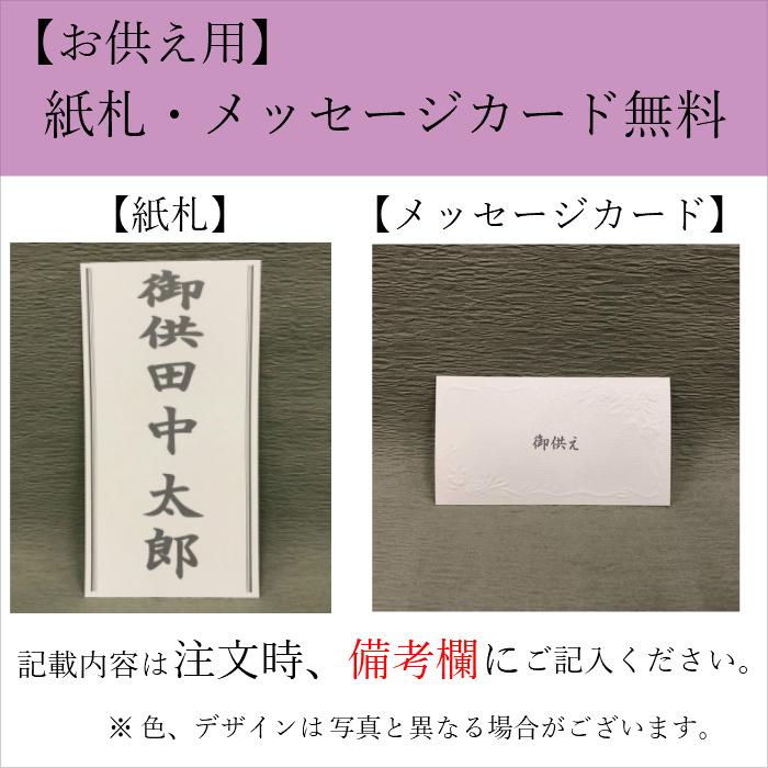 胡蝶蘭 大輪 5本立 50~55輪以上 3L 白 プレゼント ギフト 贈り物 【 敬老の日 祖父 祖母 】 |  | 07