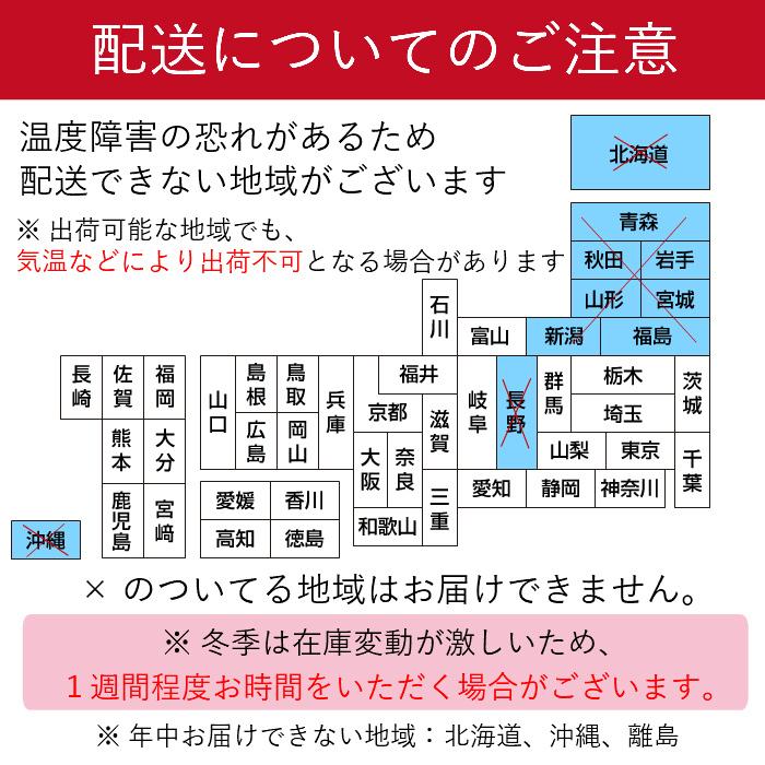 観葉植物 大型 パキラ 10号//鉢植え カゴ付き 受け皿付き 大きい 大 おしゃれ 開店 開所 開業 新築【 敬老の日 祖父 祖母 】 |  | 09