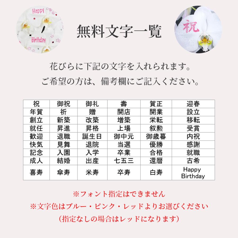 化粧蘭 胡蝶蘭 5本立 春夏秋冬 絵柄 プレゼント ギフト 贈り物 【 敬老の日 祖父 祖母 】 |  | 03