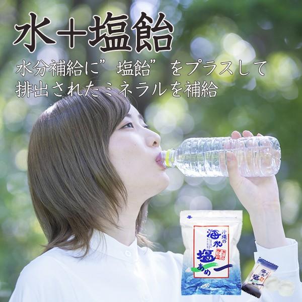 ポイント消化 500円 塩飴 塩あめ お試し品 業務用 国産 熱中症対策 マスク熱中症 日射病 熱中症 予防  ポイント利用 お試し商品 サンプル |  | 02