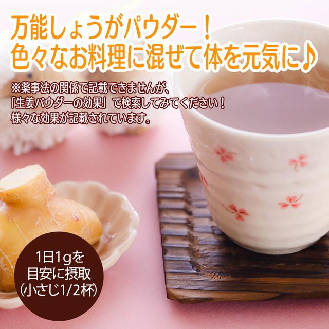生姜 生姜パウダー 40g しょうがパウダー 生姜粉末 生姜パウダー 国産 オーガニック 生姜湯 ポイント利用 お試し商品 サンプル |  | 09