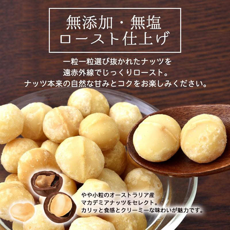 訳あり 割れ マカダミアナッツ 100g 素焼き 無塩 無添加 ロースト 送料
