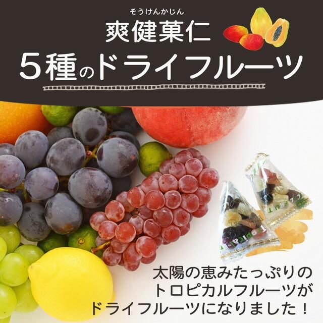 ドライフルーツ ミックス 1袋 爽健菓仁 レーズン パイナップル