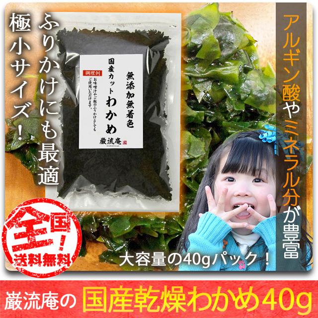 乾燥 わかめ カットわかめ 徳島県産 送料無料 40gセット 国産品 乾燥 ワカメ ふりかけ にもおすすめ ポイント消化 paypay Tポイント消化｜hmgift