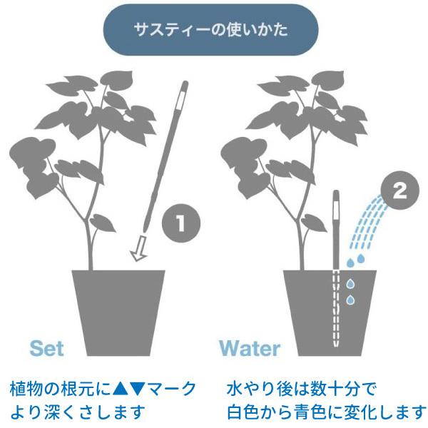 水やりチェッカー sustee （サスティー） Sサイズ 1本 【メール便送料無料】 水分計｜hmktools｜04