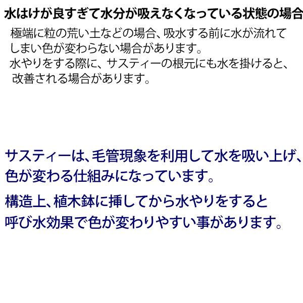 水やりチェッカー sustee （サスティー） Sサイズ 1本 【メール便送料無料】 水分計 |  | 06