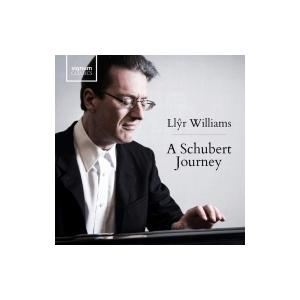 値引 Schubert シューベルト ア シューベルト ジャーニー ピアノ ソナタ集 楽興の時 さすらい人幻想曲 即 激安単価で Herbalpotential Co Nz