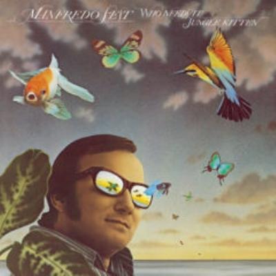Manfredo Fest マンフレッドフェスト / Who Needs It  /  Jungle Kitten (7インチシングルレコード)  〔7""Single〕｜hmv