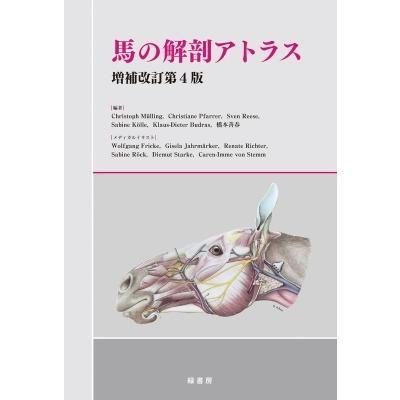 馬の解剖アトラス / 橋本善春  〔本〕