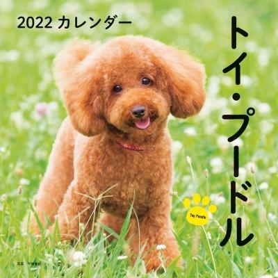 物品 22年 カレンダー トイ プードル 誠文堂新光社カレンダー 平林美紀 本