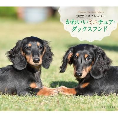 玄関先迄納品 22年 カレンダー かわいいミニチュア ダックスフンド 誠文堂新光社カレンダー 井川俊彦 本