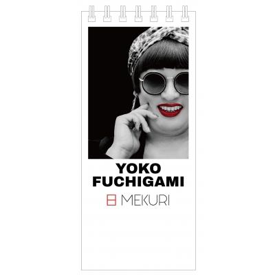 クリエイターズファイル　YOKO FUCHIGAMI ペリー・キー 2枚セットM クリエイターズ・ファイル 日めくり YOKO FUCHIGAMI 日MEKURI