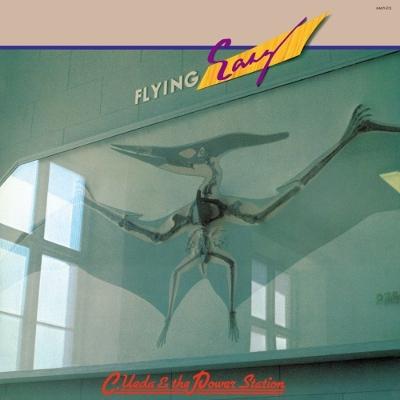 上田力とパワー ステーション / Flying Easy (アナログレコード)  〔LP〕（Yahoo!・HMV&BOOKS online Yahoo!店）
