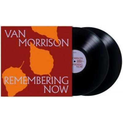 Van Morrison バンモリソン / Remembering Now (2枚組アナログ