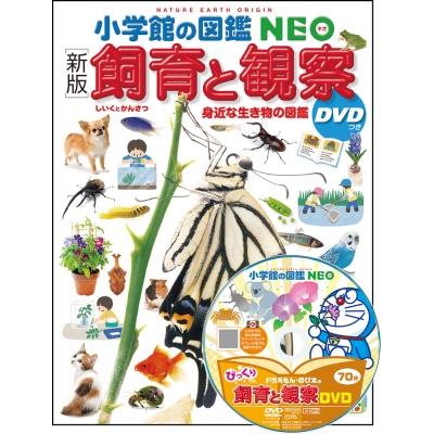 図鑑　DVD付きのものもあり 新版 飼育と観察 DVDつき 身近な生き物の図鑑 小学館の図鑑NEO / 筒井