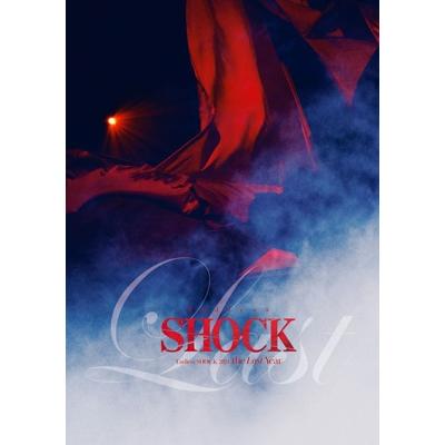 EndlessSHOCK 2024 the Last 通常 Blu-ray 堂本光一 / Endless SHOCK 2024 the Last Year【通常盤】(5枚組 Blu