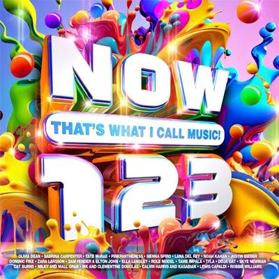NOW（コンピレーション） / NOW That's What I Call Music! 123 (2CD) 輸入盤 〔CD〕（Yahoo!・HMV&BOOKS online Yahoo!店）