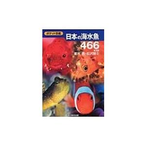 日本の海水魚466 ポケット図鑑 峯水亮 図鑑 Hmv Books Online Yahoo 店 通販 Yahoo ショッピング
