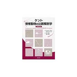 [圧倒的人気 あす楽対応 ] MZPUIIGIUSV (MZPUIIGIUSV)