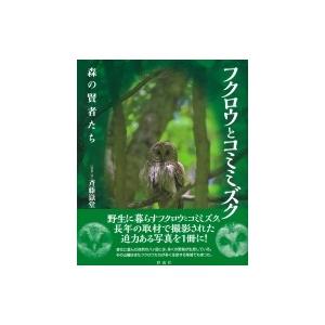 フクロウとコミミズク 森の賢者たち 斉藤嶽堂 本 Hmv Books Online Yahoo 店 通販 Yahoo ショッピング