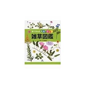 調べてみよう名前のひみつ 雑草図鑑 亀田龍吉 全集 双書 Hmv Books Online Yahoo 店 通販 Yahoo ショッピング