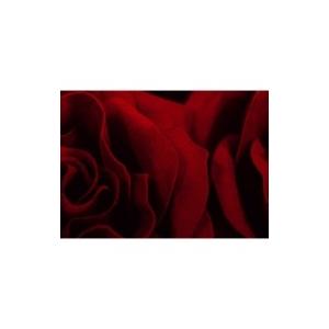 早割クーポン 加藤ミリヤ Celebration Tour 18 完全生産限定盤 Dvd Hmv Books Online Yahoo 店 通販 Yahoo ショッピング 海外正規品 Sipeka Smknpuspahiang Sch Id