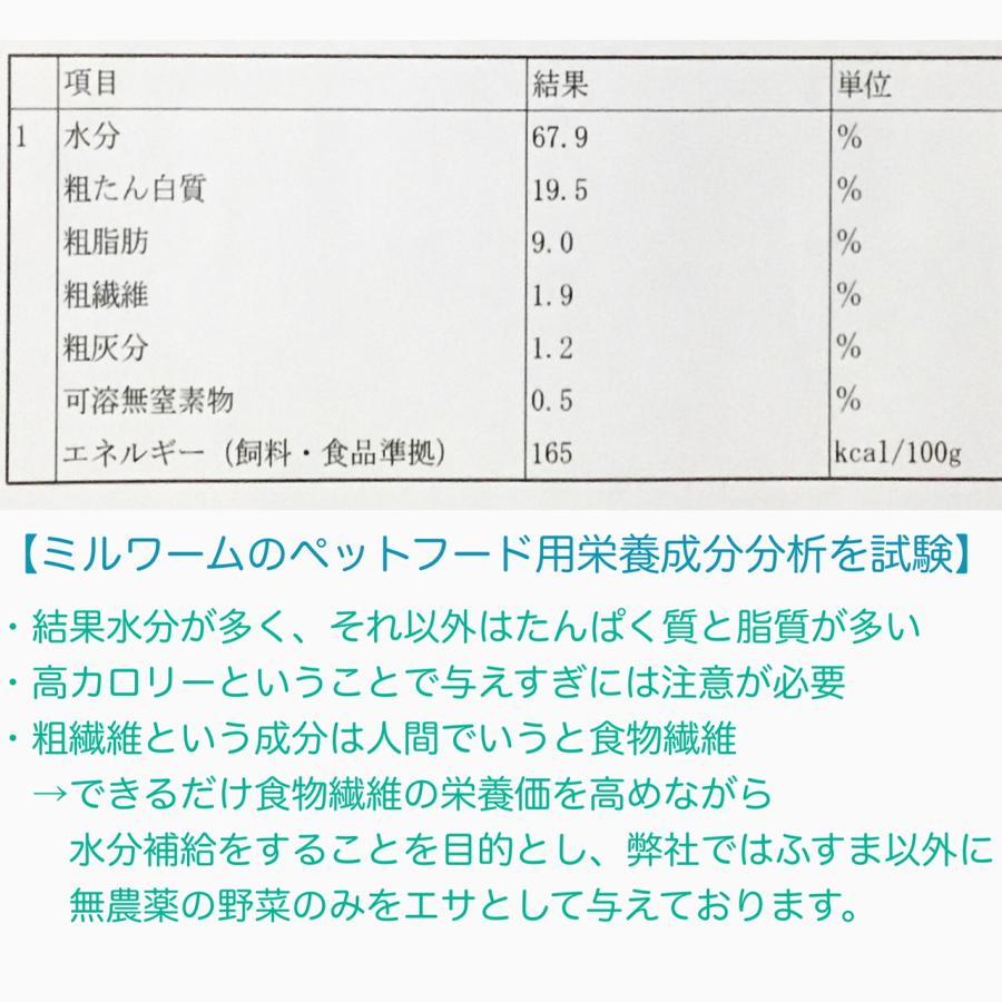 ミルワーム 50g 2cm〜3.5cmサイズ : HMW - 通販 - Yahoo!ショッピング