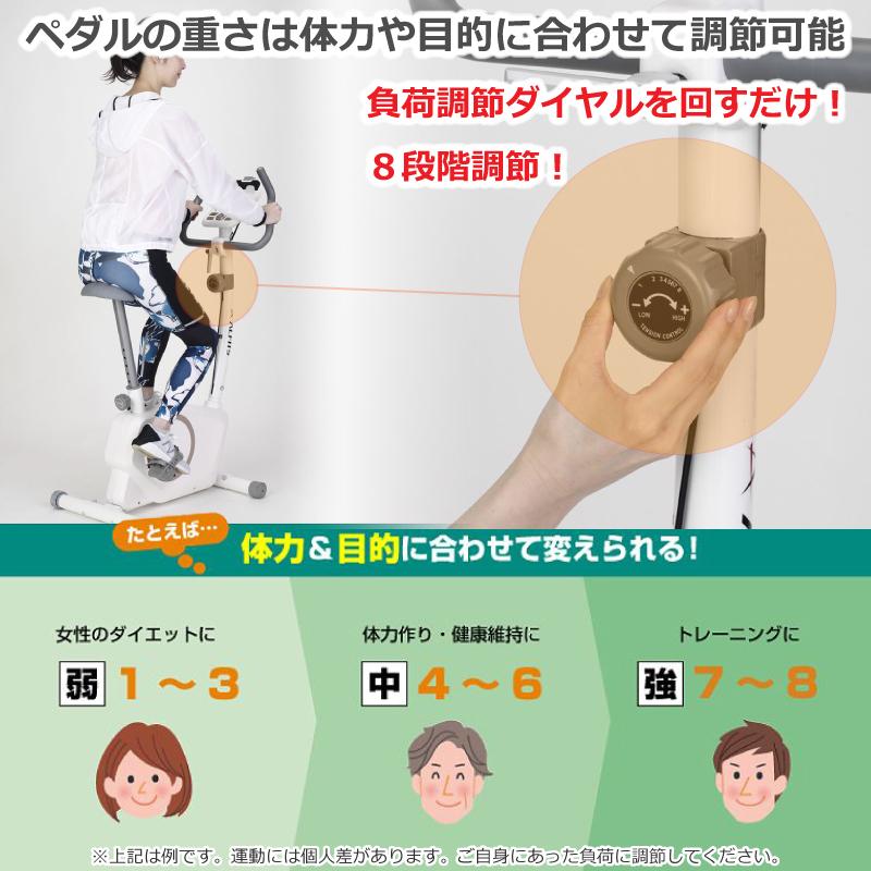 Mサイズ　アルアバイル 楽天市場】「バイク＋マット」 アルインコ エアロマグネティック