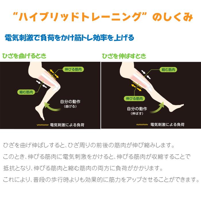 パナソニック Panasoni ひざトレーナー EU-JLM52S-K 黒 膝用 パナソニック Panasoni ひざトレーナー EU-JLM52S-K 黒 膝用