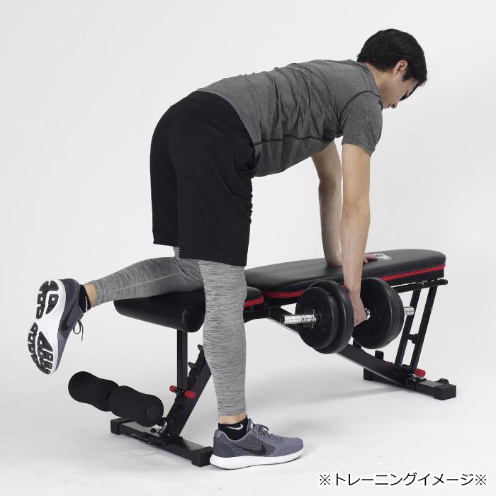 ALINCO（アルインコ） アジャスタブルベンチ PRO FA223 シットアップ