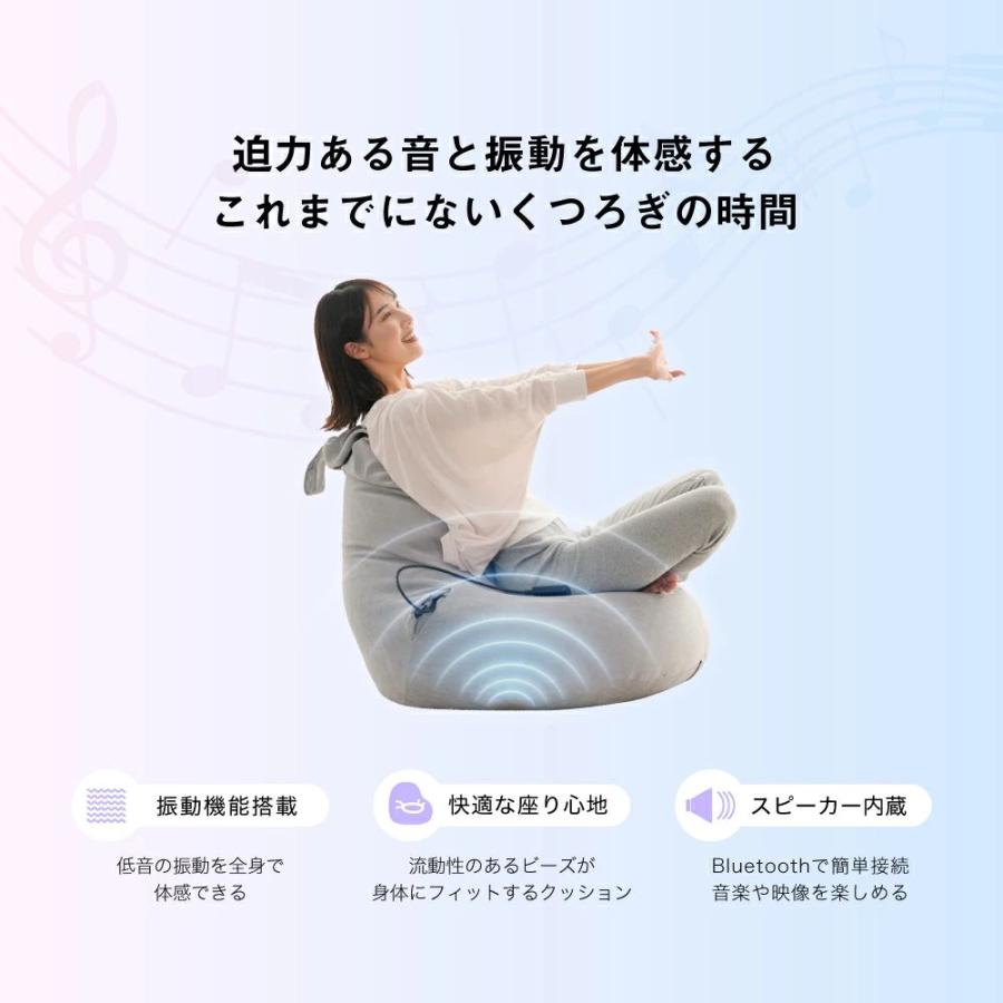 ALINCO（アルインコ） ビーズクッション サウンドビーズクッション