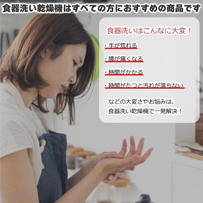 S.Kjapan 食洗機 ジェイム 食器洗い乾燥機 工事不要 洗浄4コース jaime 